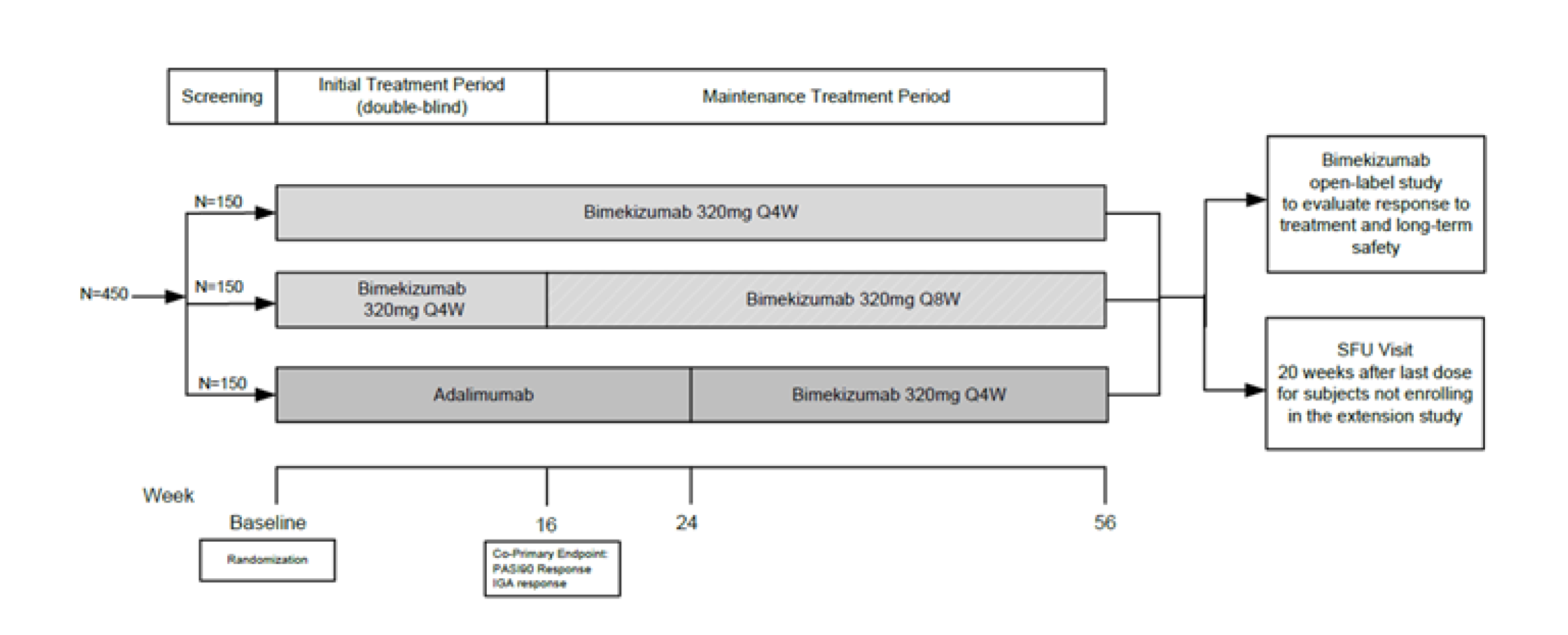 Describes the flow of patients and treatments received from randomization through to the initial and maintenance treatment periods, and subsequent entry into the extension study or safety follow-up period.