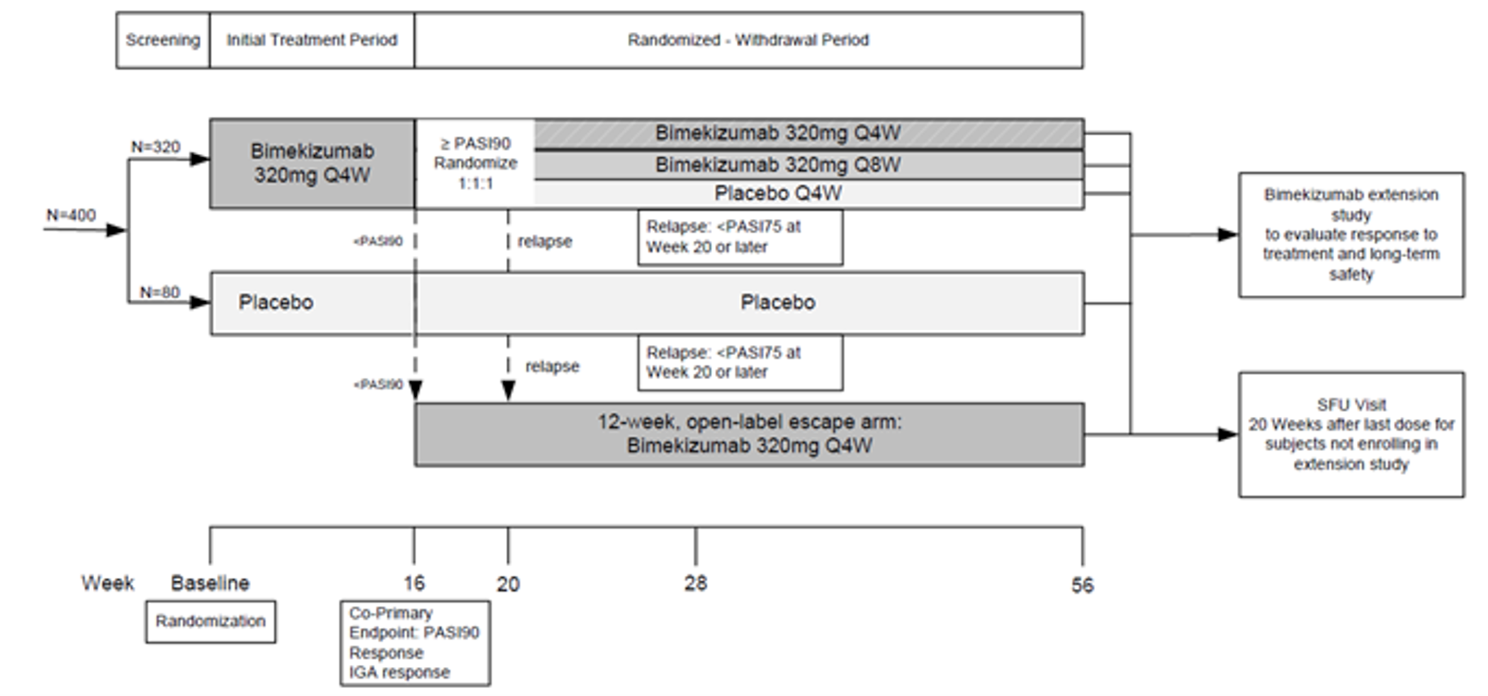 Shows the flow of patients and treatments received from randomization through to the initial treatment period (of bimekizumab or placebo), randomized withdrawal period, and subsequent entry into an extension study to evaluate response to treatment and long-term safety or a follow-up visit 20 weeks after the last dose.